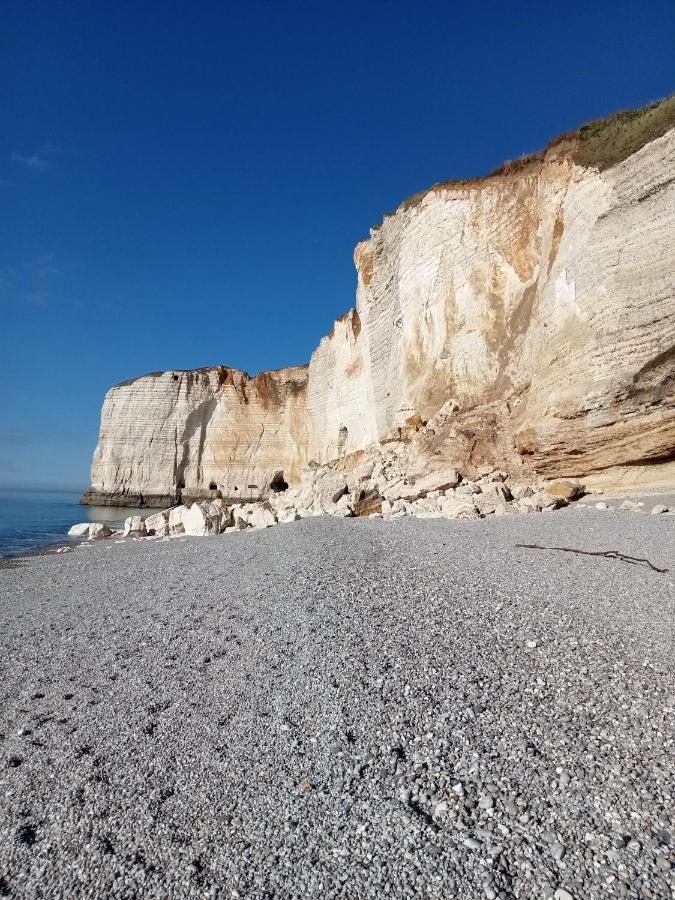 Les Charmes Du Bosquet Parc D'Amour Et Nature Parking Prive Securise Ετρετά Εξωτερικό φωτογραφία