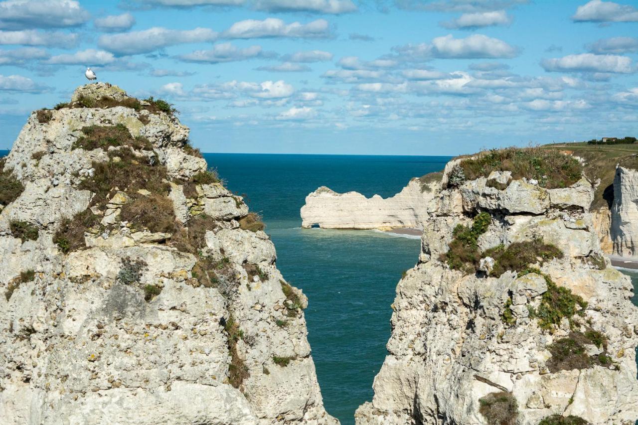 Les Charmes Du Bosquet Parc D'Amour Et Nature Parking Prive Securise Ετρετά Εξωτερικό φωτογραφία